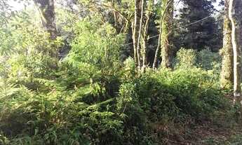 Imagem 4: Terreno no bairro Palace Hotel em Canela!