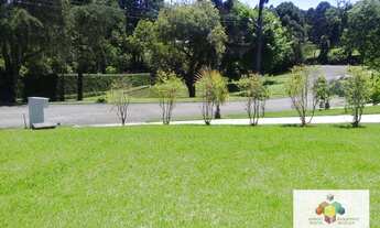 Imagem 4: Terreno à venda, 1391 m² por R$ 550.000,00 - Ferraria - Campo Largo/PR