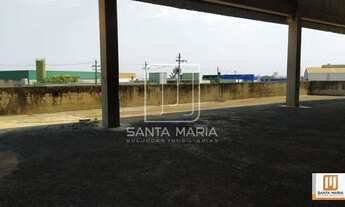 Imagem 5: Salão/Galpão (salão - térreo