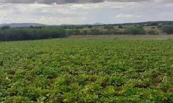 Imagem 5: Propriedade Rural a venda em Tucano-BA