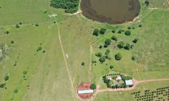 Imagem: Magnífica Fazenda, 3.133 Hectares, Município