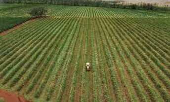 Imagem 7: Crédito rural R$ 200.000,00 a R$ 1.000.000,00