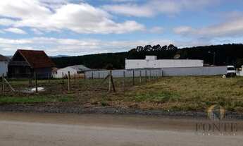 Imagem 3: TERRENO A VENDA EM LAGES