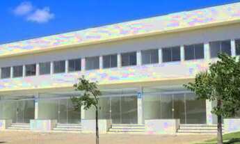 Imagem 7: Porto Alegre - Terreno Padrão - Lomba do Pinheiro