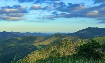 Imagem 3: Chácara 20.000m2 Santa Isabel Domingos Martins