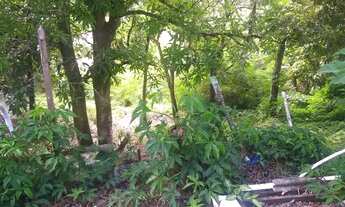 Imagem 5: Vendo casa do Beneditino Bentes 2