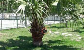 Imagem 3: Terreno à venda, 450 m² por R$ 180.000,00 - Imboassica - Macaé/RJ