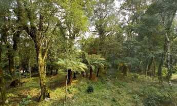 Imagem 4: Casa em São Francisco de Paula!