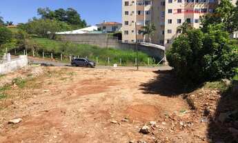 Imagem 5: SãO JOSé - Terreno Padrão - Serraria
