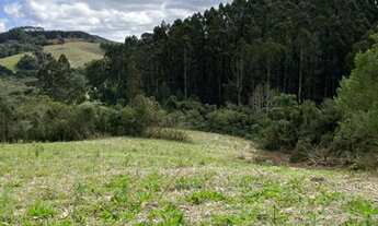 Imagem 10: Terreno para agricultura com 60.500m² ou 2,5 alqueires
