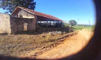 Imagem 3: SITIO COM 14 ALQUEIRES PAULISTA - Zona Rural - Cosmorama/SP