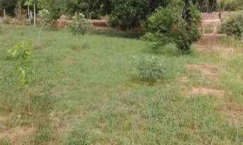 Imagem 6: Vendo Terreno no Residencial Oásis, aceito proposta