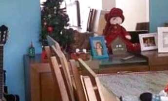 Imagem 3: Apartamento com 2 dormitórios à venda, 64 m² por R$ 330.000,00 - Jardim Santa Cruz (Zona N