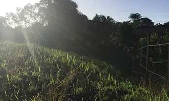 Imagem 6: Alugo terreno em Sambaetiba/Itaboraí