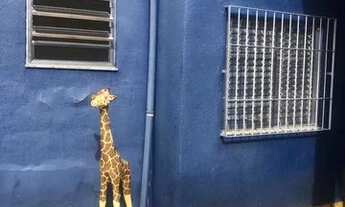 Imagem: Casa para venda tem 358 metros quadrados