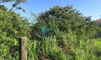 Imagem 3: Terreno à venda no bairro Pinheira (Ens Brito) - Palhoça/SC