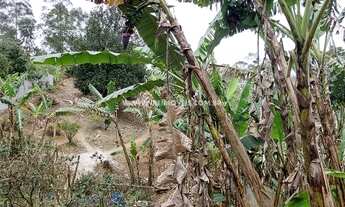 Imagem 6: SÃO LOURENÇO DA SERRA - Chácara - COLINA VERDE