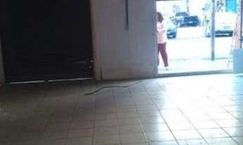 Imagem: Salão para alugar, 50 m² por R$ 6.400,00/mês