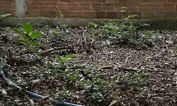 Imagem 2: Visão Adm de Imóveis Vende Ótima Terreno Vila Valqueire