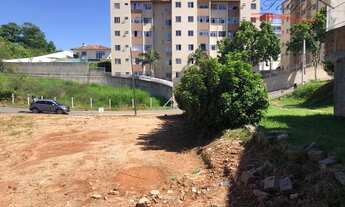 Imagem 6: SãO JOSé - Terreno Padrão - Serraria