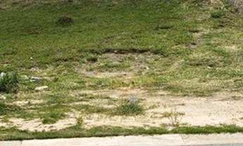 Imagem 2: Terreno à venda, 973 m² por R$ 990.000,00 - Condomínio Campo de Toscana - Vinhedo/SP