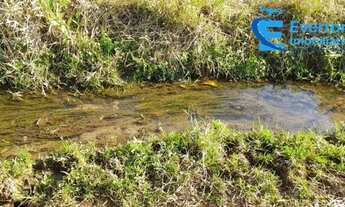 Imagem 3: Chácara em Uberlândia - MG com 20.000 m²