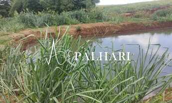 Imagem: TERRENO / CHACARA 20.000 M EM PAICANDU PRÓXIMO