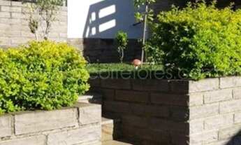 Imagem 3: 3 Dorm com suite em Caxias do Sul