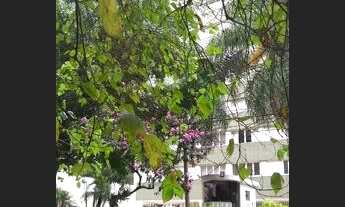 Imagem 6: Venda Apartamento com 2 dormitórios