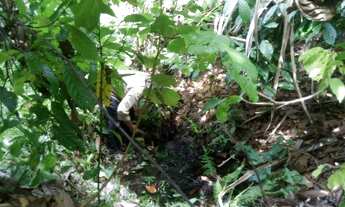 Imagem 4: Fazenda entre Gandu e Wenceslau Guimarães-BR 101