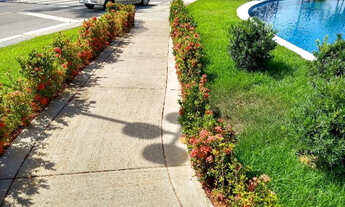 Imagem 6: Vila flor - Lotes - Á partir de 280m² - Á vista