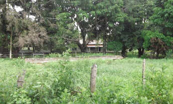 Imagem 7: Fazenda de 100 ha, a 500m² do asfalto/Jaboticatubas (Temos varias opções)