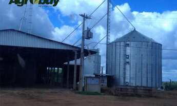 Imagem 5: Fazenda no Sul do Pará Com 2440 Alqueires