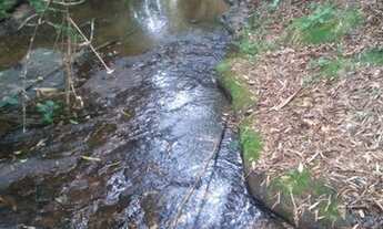 Imagem 2: Ótimo Sítio em Alfredo Wagner 20 hectares com Escritura Pública