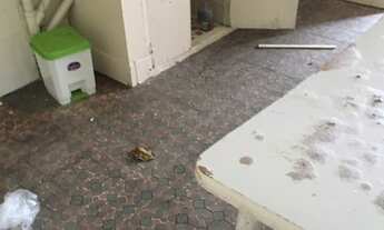 Imagem 5: Casa para fins comerciais- Marapé - Santos (Creci: 053597-F