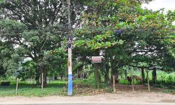 Imagem 3: Venda Terreno Mangaratiba/RJ Com11000 M²