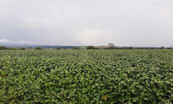 Imagem 5: Fazenda de 34 Alq/passa quatro-GO