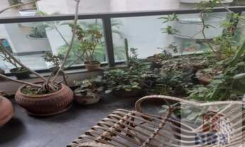 Imagem 2: São Paulo - Apartamento Padrão - Moema