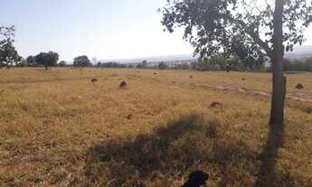 Imagem 3: Fazenda - Caçu GO