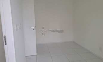 Imagem 3: SANTOS - Padrão - Gonzaga