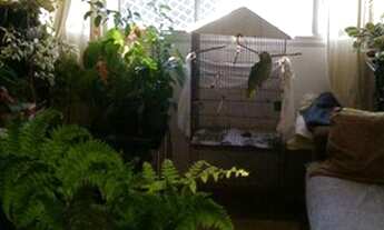 Imagem 2: Apartamento residencial à venda, Jardim Marajoara, São Paulo - AP2125