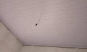 Imagem 5: Vender Casa com 2 dormitórios