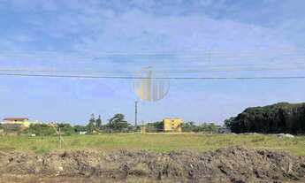 Imagem 5: Terreno em Balneário Brejatuba - Guaratuba, PR