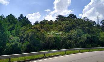 Imagem 2: Terreno à venda, 5549 m² por R$ 1.100.000,00 - Miringuava - São José dos Pinhais/PR