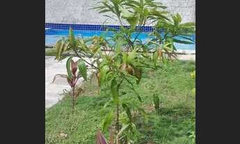 Imagem: Casa com área de 500m² 3km do Centro