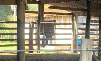 Imagem 5: FAZENDA À VENDA EM ROCHEDO - MS - 250 HECTARES (PECUÁRIA