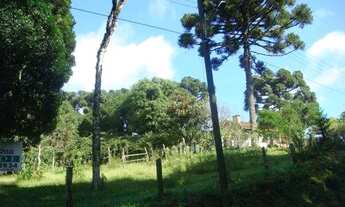 Imagem 5: Terreno no bairro Jardim das Fontes em Canela