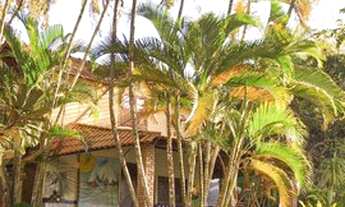 Imagem 4: Casa com 2 dormitórios para alugar, 180 m² por R$ 400,00/dia - Acú da Torre - Mata de São