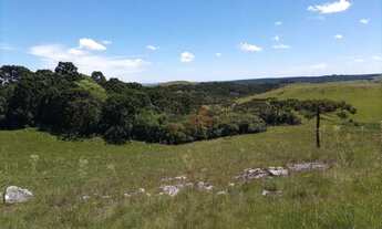 Imagem 2: Sítio na Várzea do Cedro em São Francisco de Paula!
