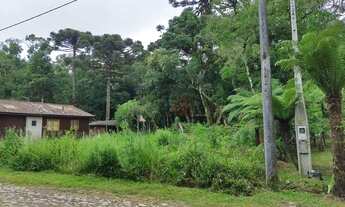 Imagem 3: Terreno no loteamento Colina de São Francisco em São Francisco de Paula!